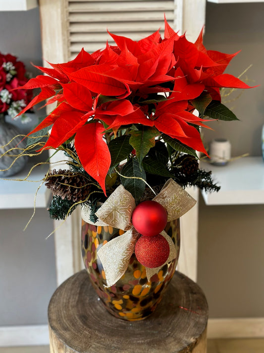 Pascua roja en base Havana Fidrio