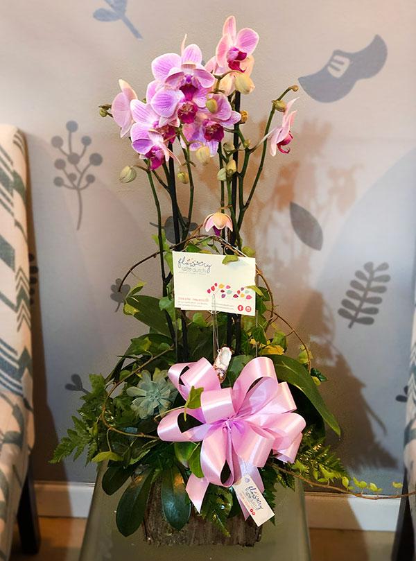 Orquídea decorada 12 – Flowery Dutch